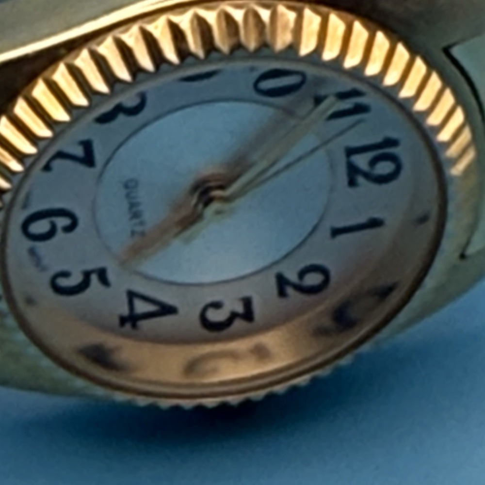 M.Z. Berger WS81 Women’s Quartz Watch Gold Tone Expansion Band Easy Read